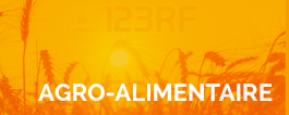 Secteur agro-alimentaire